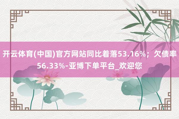 开云体育(中国)官方网站同比着落53.16%；欠债率56.33%-亚博下单平台_欢迎您
