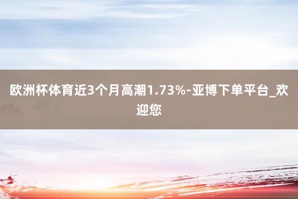 欧洲杯体育近3个月高潮1.73%-亚博下单平台_欢迎您