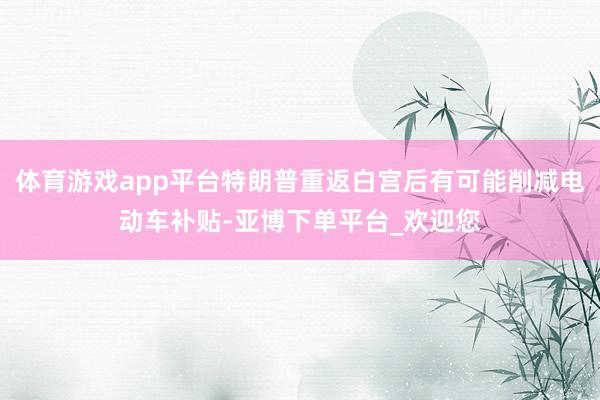 体育游戏app平台特朗普重返白宫后有可能削减电动车补贴-亚博下单平台_欢迎您