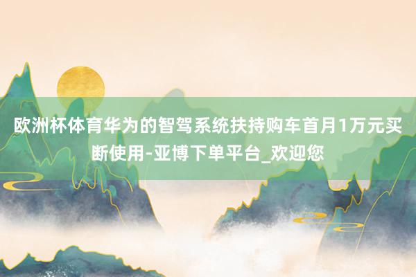 欧洲杯体育华为的智驾系统扶持购车首月1万元买断使用-亚博下单平台_欢迎您