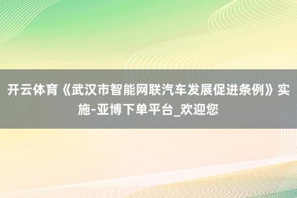 开云体育《武汉市智能网联汽车发展促进条例》实施-亚博下单平台_欢迎您