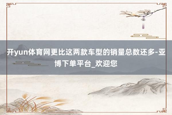 开yun体育网更比这两款车型的销量总数还多-亚博下单平台_欢迎您