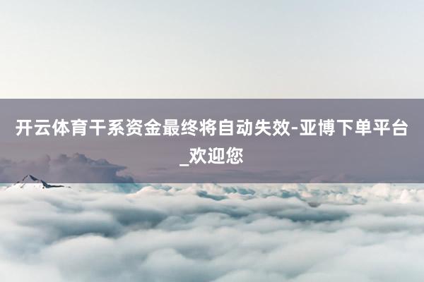 开云体育干系资金最终将自动失效-亚博下单平台_欢迎您
