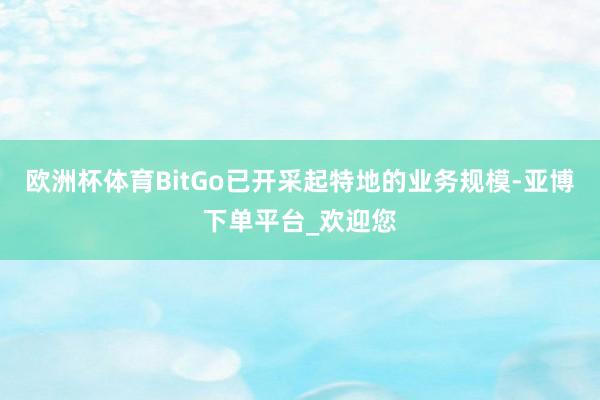 欧洲杯体育BitGo已开采起特地的业务规模-亚博下单平台_欢迎您
