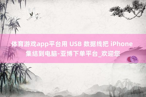 体育游戏app平台用 USB 数据线把 iPhone 集结到电脑-亚博下单平台_欢迎您