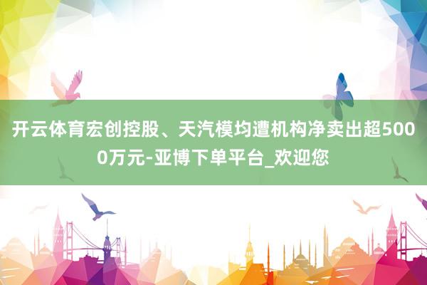 开云体育宏创控股、天汽模均遭机构净卖出超5000万元-亚博下单平台_欢迎您