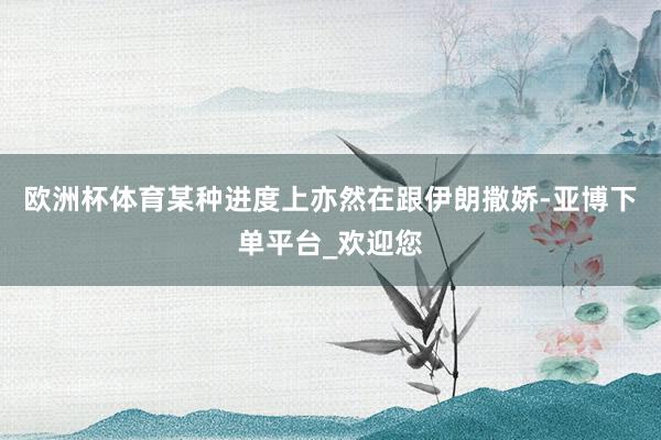 欧洲杯体育某种进度上亦然在跟伊朗撒娇-亚博下单平台_欢迎您