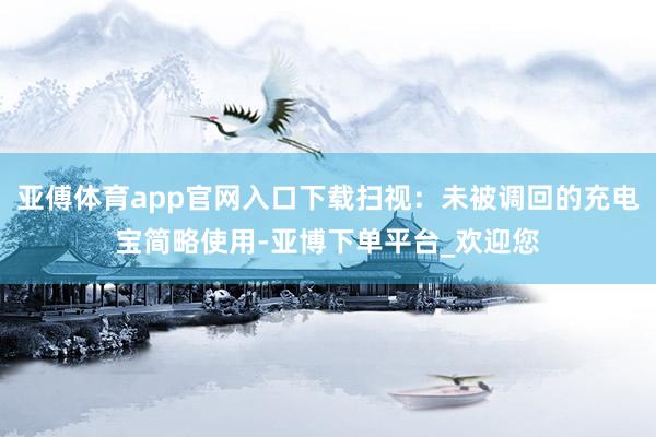 亚傅体育app官网入口下载扫视：未被调回的充电宝简略使用-亚博下单平台_欢迎您