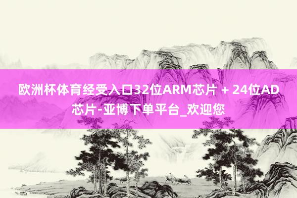 欧洲杯体育经受入口32位ARM芯片 + 24位AD芯片-亚博下单平台_欢迎您