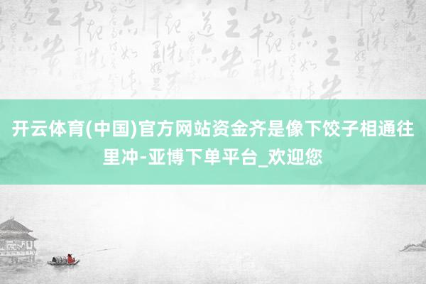 开云体育(中国)官方网站资金齐是像下饺子相通往里冲-亚博下单平台_欢迎您