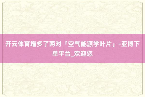 开云体育增多了两对「空气能源学叶片」-亚博下单平台_欢迎您